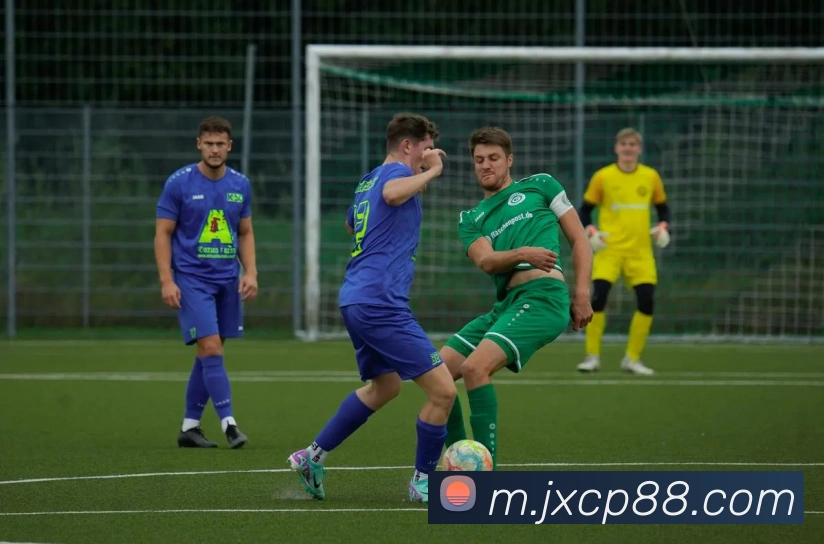 多媒体互动体验